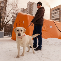 Houses in Kyiv without heating