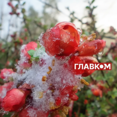 Anticyclone will bring dry weather in March