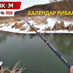 Fishing near birches in March 2026