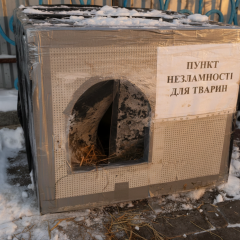 Psychological state of Ukrainians on the fourth year of war