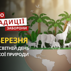 Корова на лугу, лесная чаща
