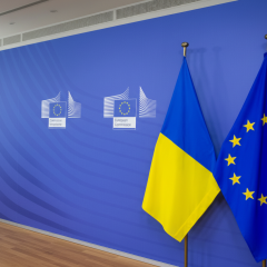 Serhiy Datsyuk on the contradiction of European integration: 'We are going to Europe, but wiping our feet on the constitution'