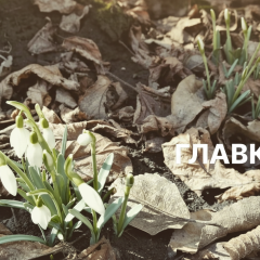 March weather forecast: when will Kyiv be +15 and heating will be turned off