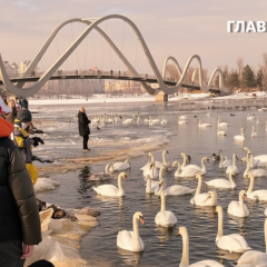 Прогноз погоды на 13 марта: до +20°C