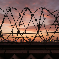 Foreign prisoners in the Armed Forces: restrictions and situation