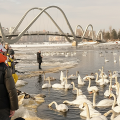 Солнечная погода без осадков