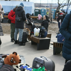 Украинцы и цифровые паспорта Чехии