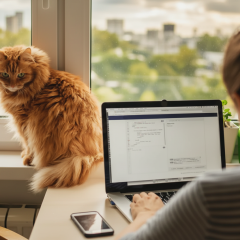 Remote Work during the Crisis