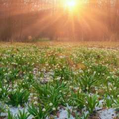 Weather +16°: sudden cooling in Ukraine