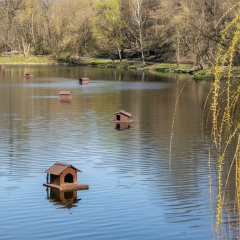 Weather forecast for March 25: no precipitation