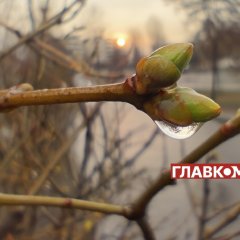 Прогноз погоди на 26 березня: очікується дощ