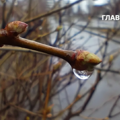 Погода на 31 березня: дощі та вітер