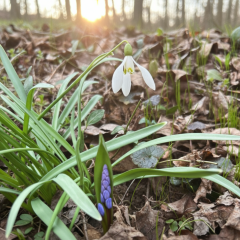 Didenko talked about the weather in April