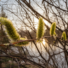 Weather forecast for April 2026