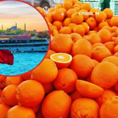 Export of citrus and berries from Ukraine