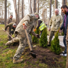 Алея туй на честь воїнів