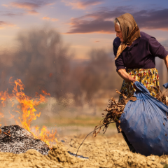 Правила розведення вогню згідно із ДСНС