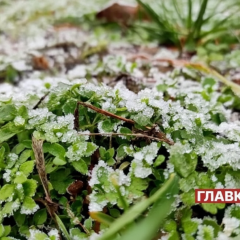 Нічні заморозки в Києві 7-9 квітня