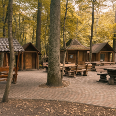 Entrepreneur charged for cafe on forest land