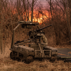 Political scientist Romanenko suggests algorithmic defense