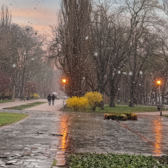 Квітневий сніг та заморозки у Києві