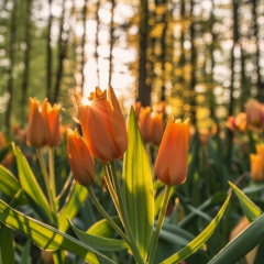Weather forecast for April 13