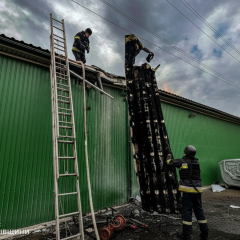 Пшеничне поле поблизу Харківа