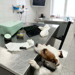 Courier with cocaine in Gdansk