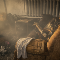 Fire in Ukraine: causes and prevention