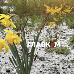 Заморозки 14 квітня: області під загрозою