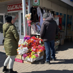 Живі розсади замість пластикових квітів