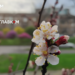 Прогноз погоды на 16 апреля