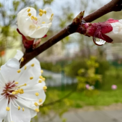 Прогноз погоды на 17 апреля