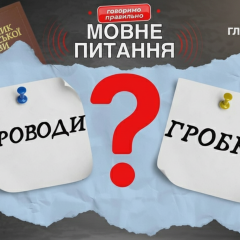 Філологиня пояснює відсутність слів у словнику