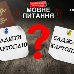 Філологиня пояснює різницю між словами