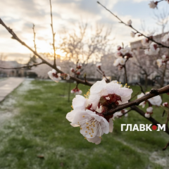 Прогноз погоды: заморозки и дожди