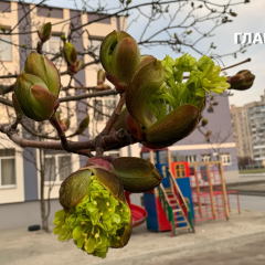 Weather on April 21: strong wind, frost, and magnetic storm
