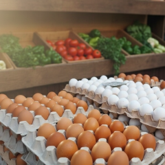 Record-breaking egg export to Britain