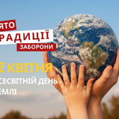 Літнє поле з квітами та сонцем