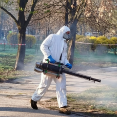 Обробка від кліщів у Києві