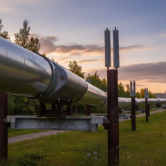 Венгерская нефть на Дружбу: новая поставка