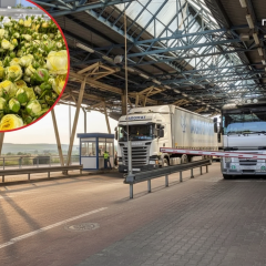 Roses smuggling in Ukraine: budget violation