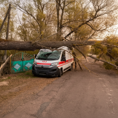 Дерево впало на швидку під час бурі