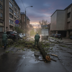 Упавшие деревья после непогоды в Киеве