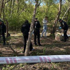 Тіло немовляти в сумці в парку