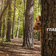 Погода 29 апреля: заморозки и дожди