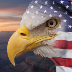 American pragmatism in geopolitics