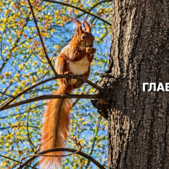 Прогноз погоди на 1 травня