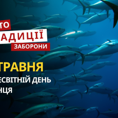 Tuna for World Tuna Day