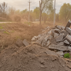 Уничтожение дерев в заказнике в Бортничах